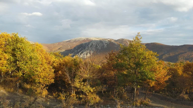 Bahçebaşı Köyü Kestavur Deresi Vadisi